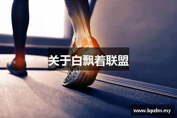 关于白飘着联盟